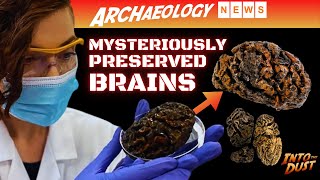 archaeology news: mysteriously preserved human brains unearthed - a new archaeological discovery