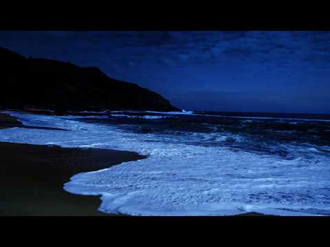 Fall Asleep in Under 2 Minutes | Night Beach Dark Screen Sleep Sounds, Rest Deeper Tonight