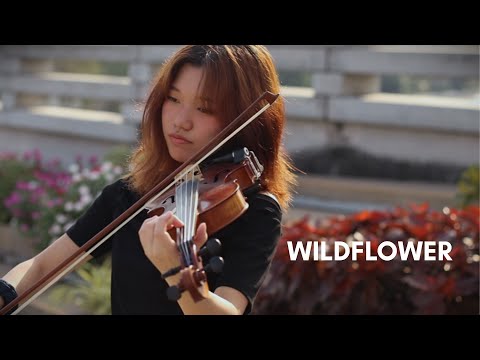 Billie Eilish WILDFLOWER Violin Cover By IAmLast