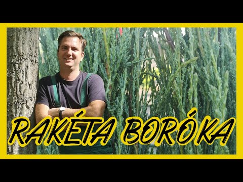 Videó: Boróka
