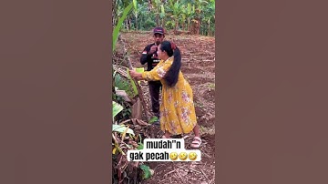 mudah-mudahan gak pecah 🤣🤣🤣#ngakak #lucu #comedy #funny #hiburan #kocak #viral #shorts #fyp