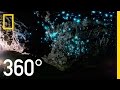 Glow worm caves of new zealand in 360  national geographic