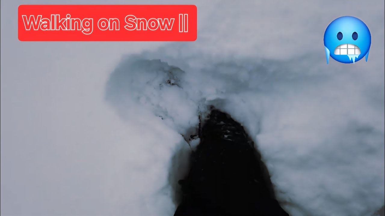 Walking on Snow 🇨🇦🍁❄️#snow #wolf #canada #alaska #greenland #arctic #glacier #icebreaker #snowbreak 