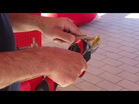 Premio Innovación Tecnológica Tijera Electrocoup F3020 de Agriman Noticia Informativos 01/07/2022