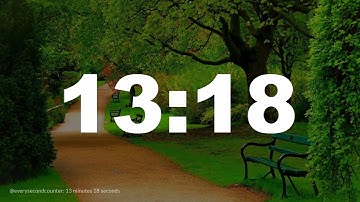 13 minutes 18 seconds [798 secs] clock timer countdown || Alarm Focus || Chill Music