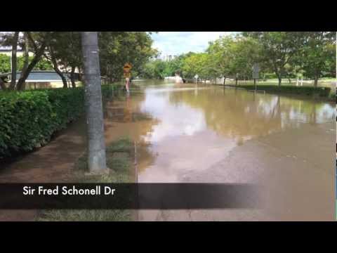 This is the University of Queensland in St Lucia just after the flood waters began receding from a peak of 4.46 metres. Most of the classrooms and buildings are fine, but it looks like a lot of research was damaged. Music: oldDog - No Forever (Instrumental) ccmixter.org