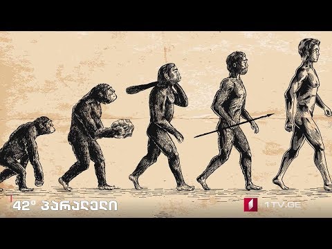 42° პარალელი - უნივერსიტეტის იდეა / ისტორია და ტრანსფორმაცია