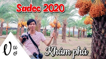 Khám phá Sadec: Vườn Chà Là & Cánh đồng Hoa Hồng 2020