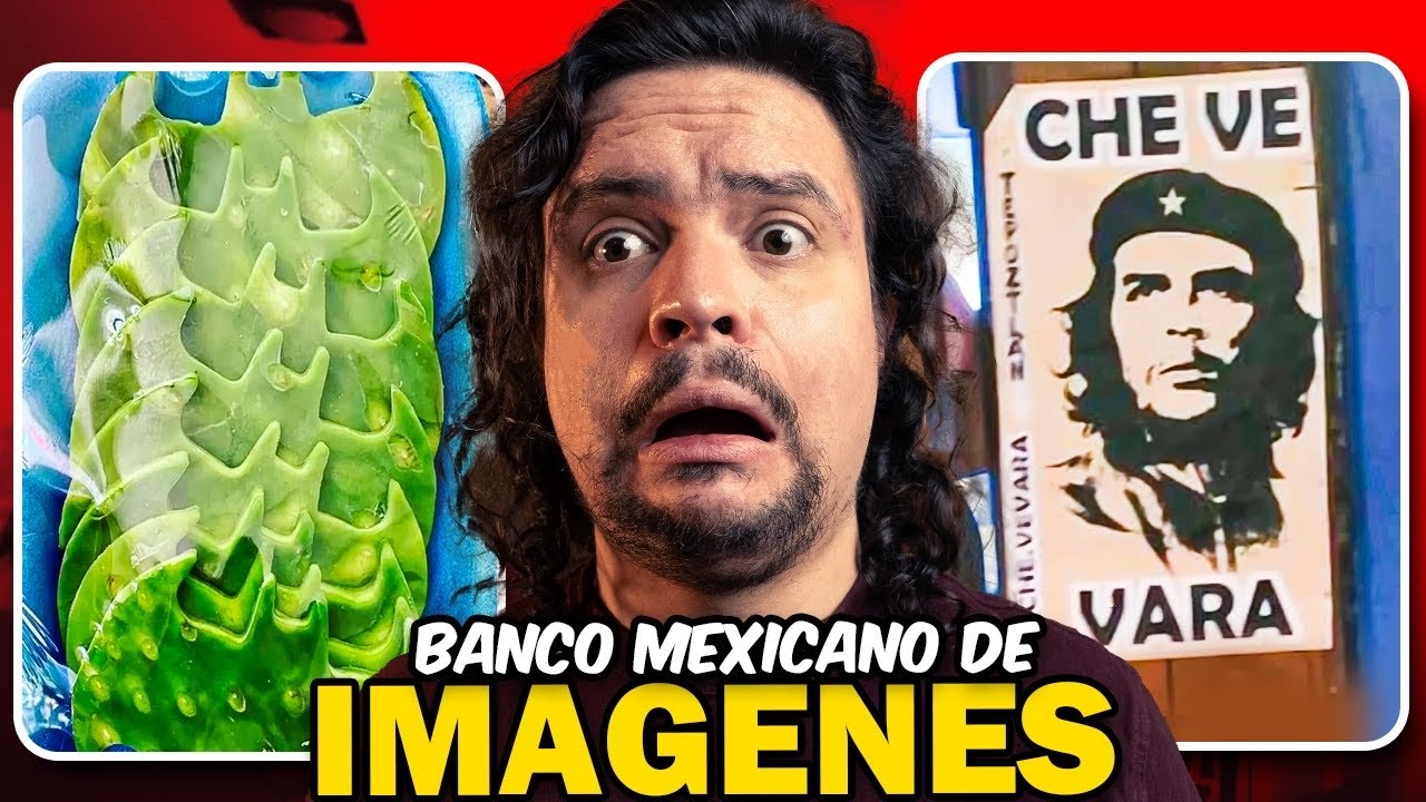 BANCO MEXICANO DE IMAGENES