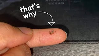 Why I DON'T recommend Baby Tarantulas for a start ~ What should you get??