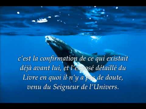 Sourate 10 Jonas Yunus  Rcitation en VO  Traduction en Franais par Saad Al Ghamidi