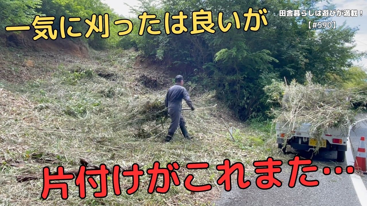 590] Restoring the overgrown roadside to its former state, part 2
