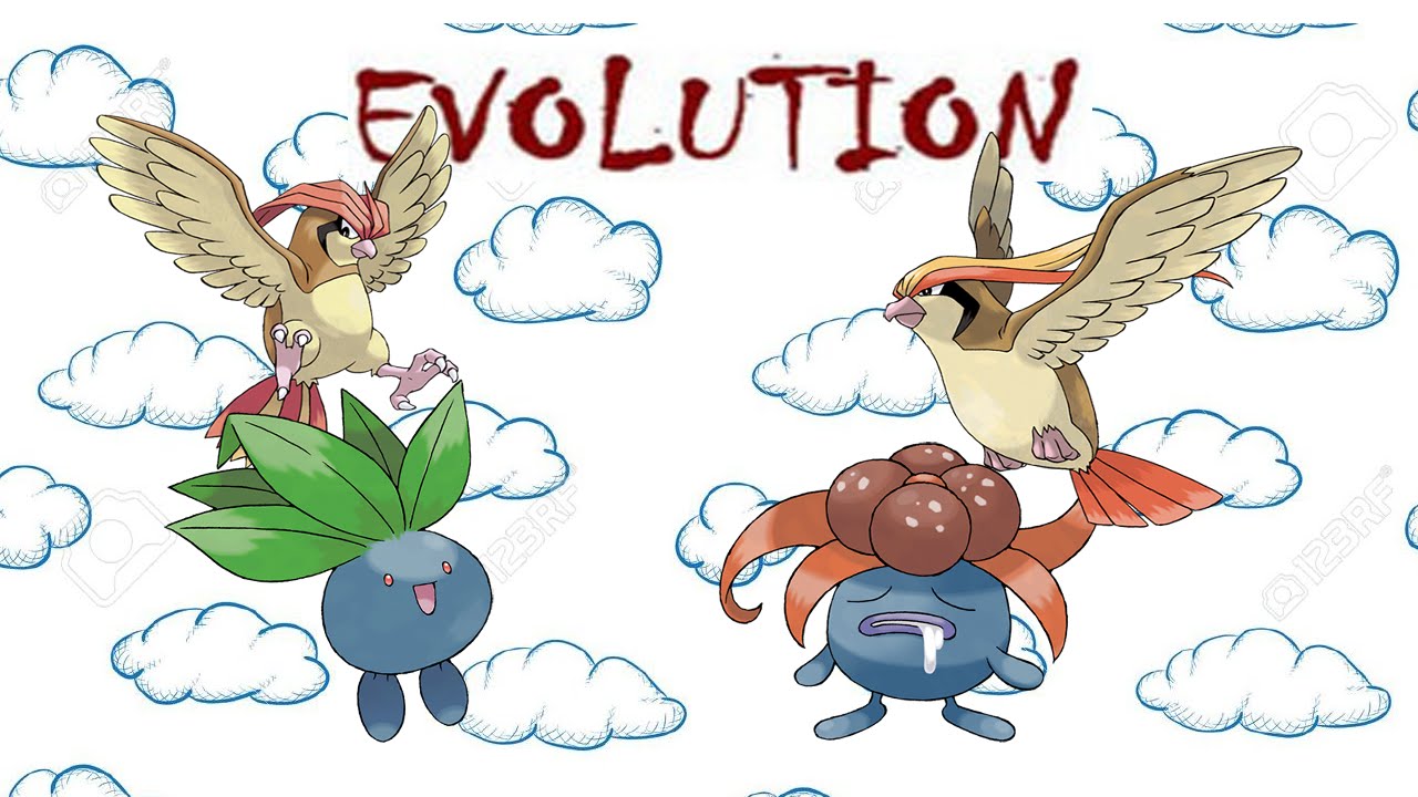ЭВОЛЮЦИЯ Odsish и Pidgeotto. Evolve  POKEMON GO\ПОКЕМОН ГО!