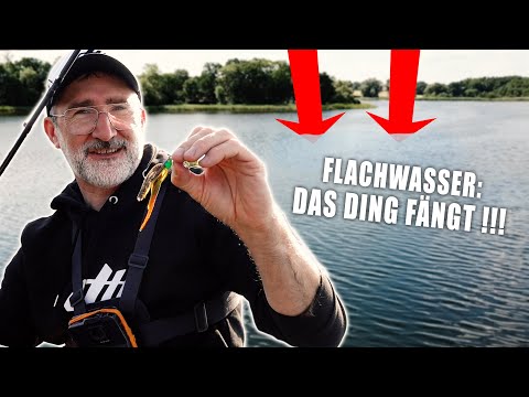 Der (aller)BESTE Barsch-Köder