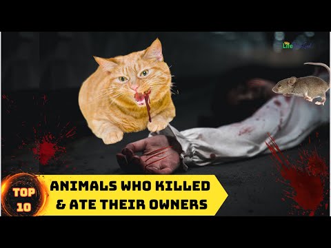 10 Animals who Killed &amp; Ate their Owners