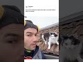 #Kedi sesini mükemmel #taklit eden #adam, yanındaki kedinin tepkisini paylaştı.#reels #shorts #haber