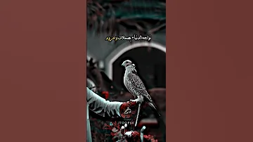 نطيح من عثرات الايام ونقوم 