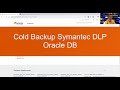 Six Steps to Execute a Cold Backup to Symantec DLP Oracle DB on Windows