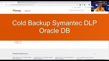 Zes stappen voor het uitvoeren van een koude back-up naar Symantec DLP Oracle DB op Windows
