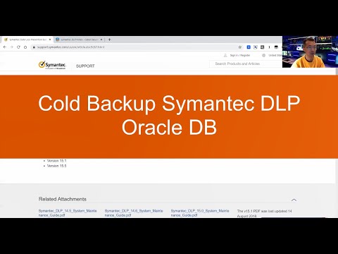 Six Steps to Execute a Cold Backup to Symantec DLP Oracle DB on Windows