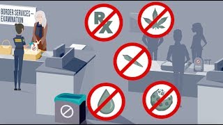 Cannabis And The Border - Dont Travel With It