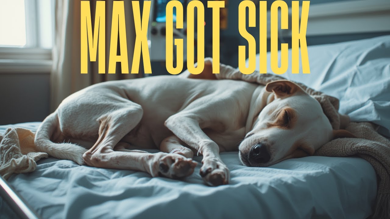 MAX DIAGNOSED  WITH SEVERE TICK FEVER