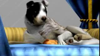 Sims 3 Pets Dogs and Puppies 3 ザ·シムズ3ペット犬と子犬3.mp4 screenshot 5