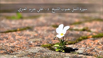 سورة النمل - علي جريد