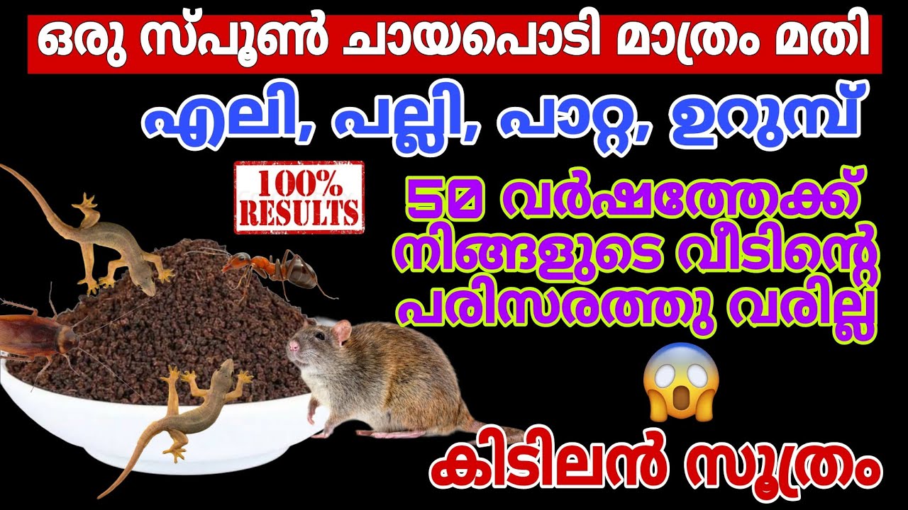 ഒരു സ്പൂൺചായപൊടി മാത്രംമതി/എലി,പല്ലി,പാറ്റ,ഉറുമ്പ് വീടിന്റെ പരിസരത്തുവരില്ല/#TipsnTricks