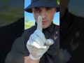 OH MY GOD #golf #golftips #golfswing