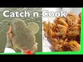 Catch n Cook 🔥 Prawns 🍤 with Flathead Fishing Shrimp in USA EP.352