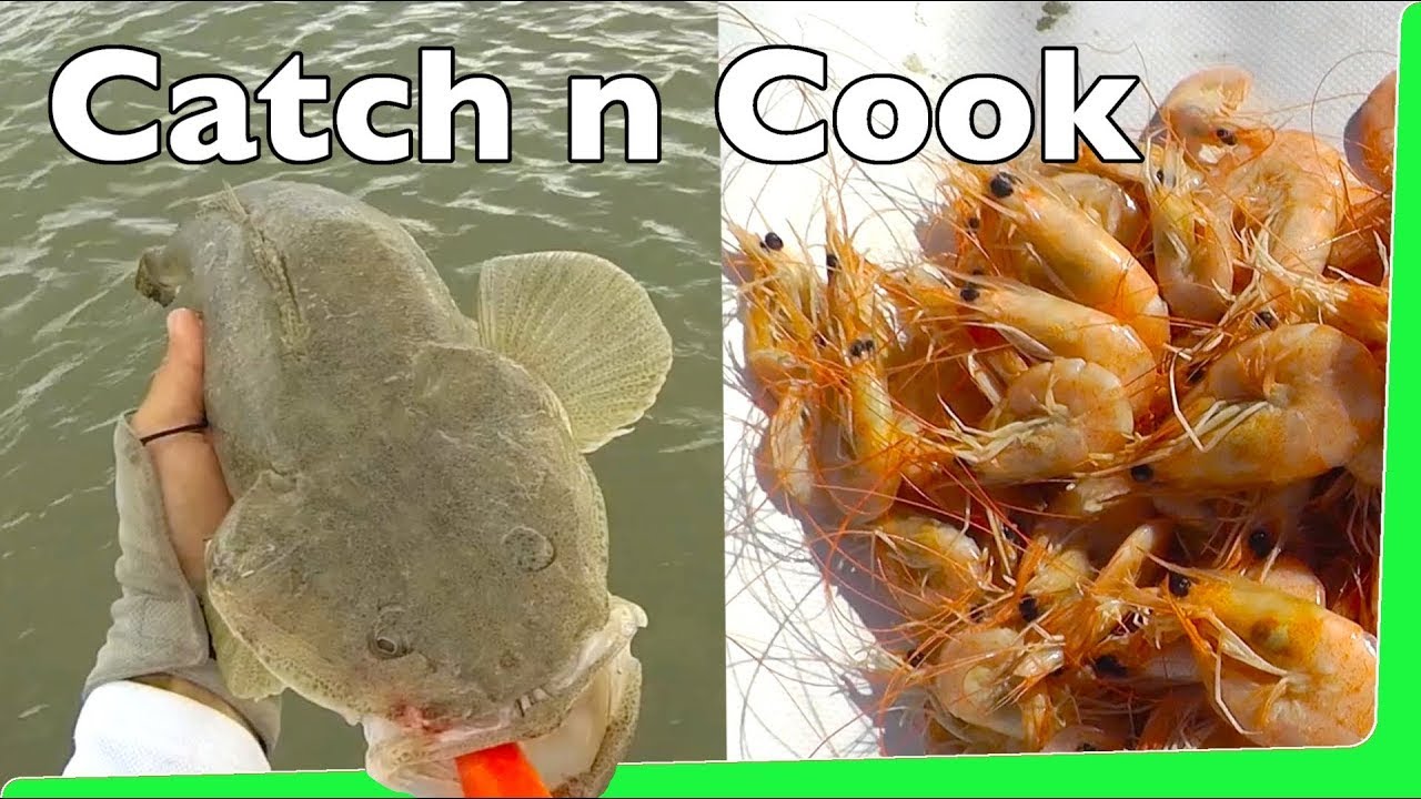 kayak flight Catch n Cook 🔥 Prawns 🍤 with Flathead Fishing Shrimp in USA EP.352