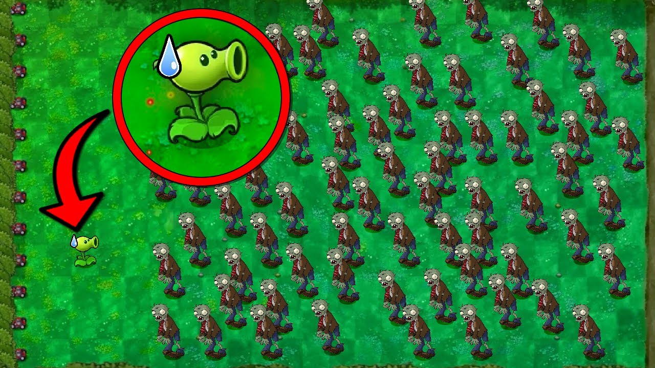 PvZ but my lawn is WAY too big