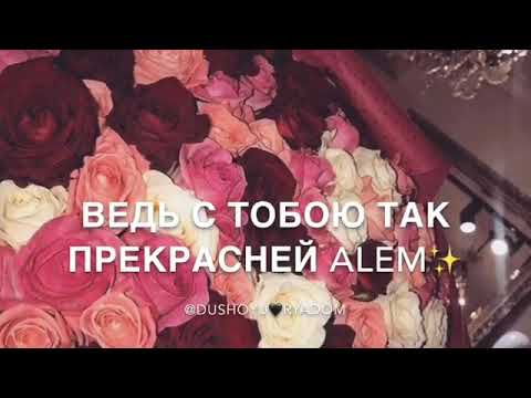 Javid-Ты моя дунья😻