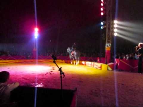 Circo Alex Hamar e Gregory Ancelotti.wmv