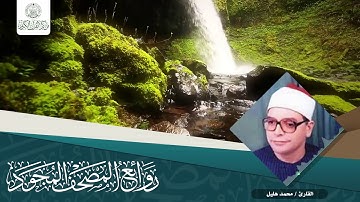 القارئ | محمد هليل