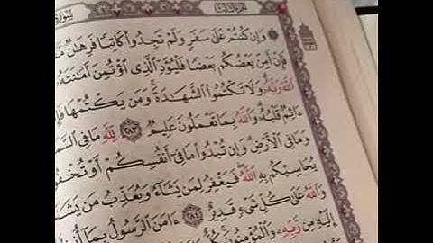 #سوالف هيون والمداومة على سورة البقرة ومواقف المتابعات
