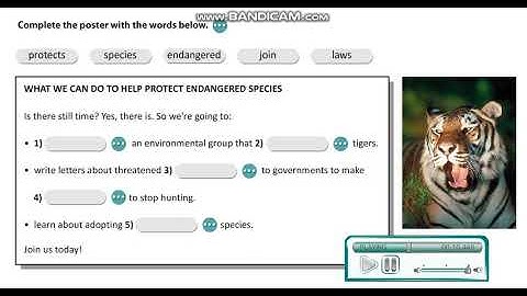 Excel 8 Module 6 Endangered Species