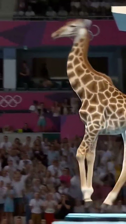 giraffe jumping into swimming pool #shorts #shortsviral #shortsvideos #giraffe