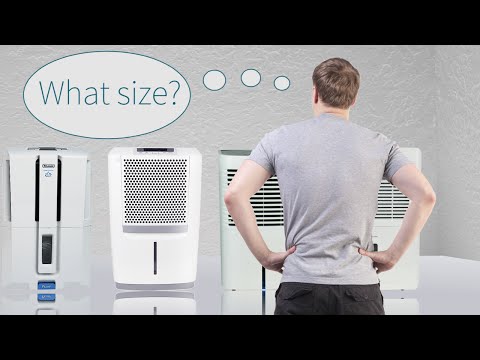 What Size Dehumidifier Do I Need? | Sylvane