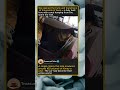 Bee Colony Found Inside Car Trunk
