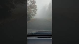 Foggy Morning. Lo Fi, Pink Noise, Calming