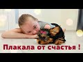 Диана плакала от счастья ! Подарили Мини Йорка РЕАКЦИЯ!