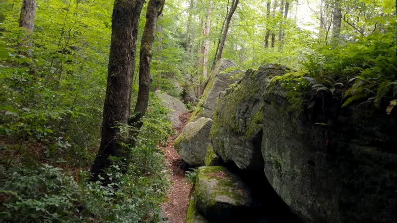 Untouched American Wilderness