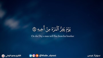 ﴿ يوم يفر المرء من أخيه ﴾ تلاوة خاشعة مؤثرة لآيات عظيمة تهتز لها القلوب - وديع اليمني