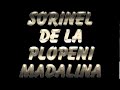 SORINEL DE LA PLOPENI    MADALINA