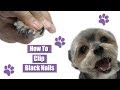 How To Clip Black Nails