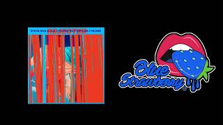 Steve Bug &amp; Cle - The Rave (Original Mix)
