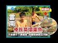 【雲南】西雙版納限定野河鮮 傣族築壩圍魚不放餌、不下網捕魚智慧｜《世界第一等》519集精華版