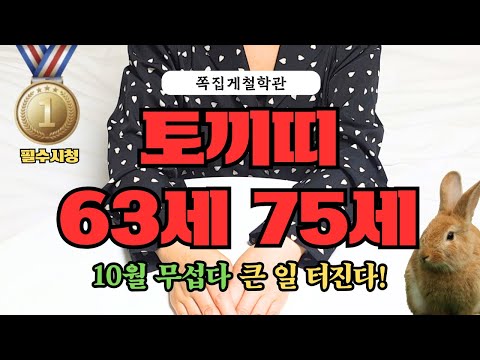 2025년 토끼띠 10월 운세 63세 75세 하반기 무섭다 곧 큰일 터집니다